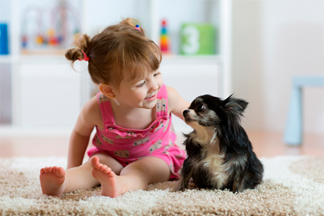 Consejos para enseñar a los niños a respetar a los animales