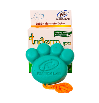 Triderm Spa en Barra