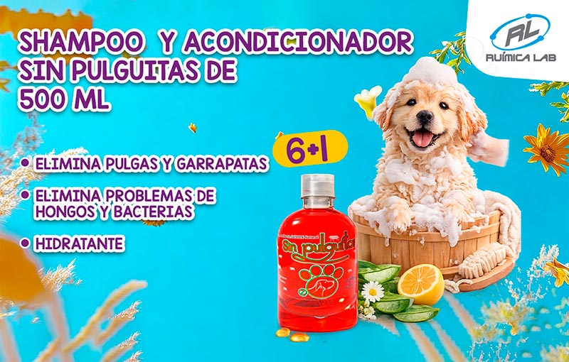 Promociones Marzo 2026