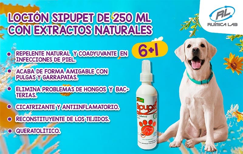 Promociones Marzo 2026