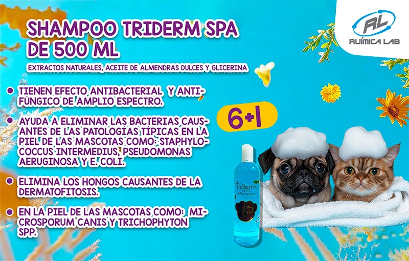 Promociones Marzo 2026