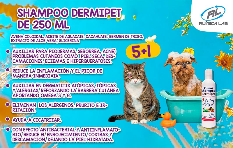 Promociones Marzo 2026