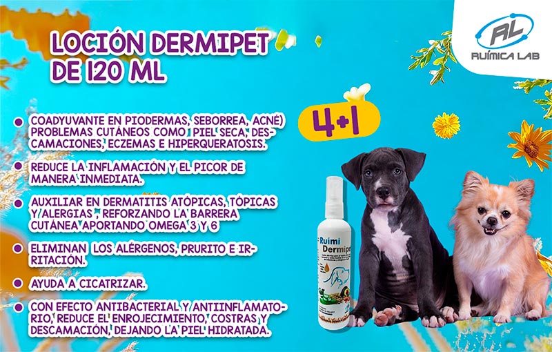 Promociones Marzo 2026