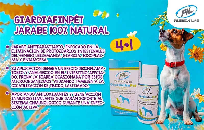 Promociones Marzo 2026