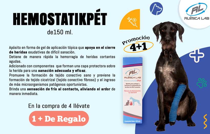 Promociones Agosto 2025