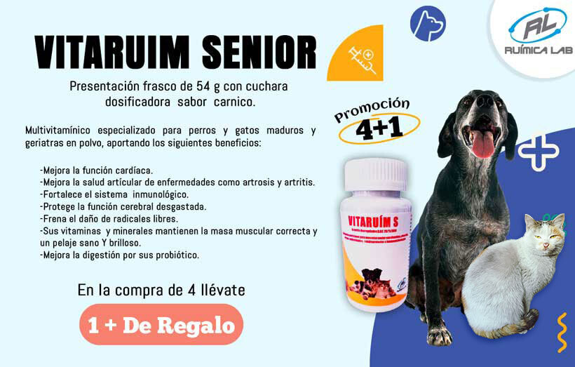 Promociones Agosto 2025