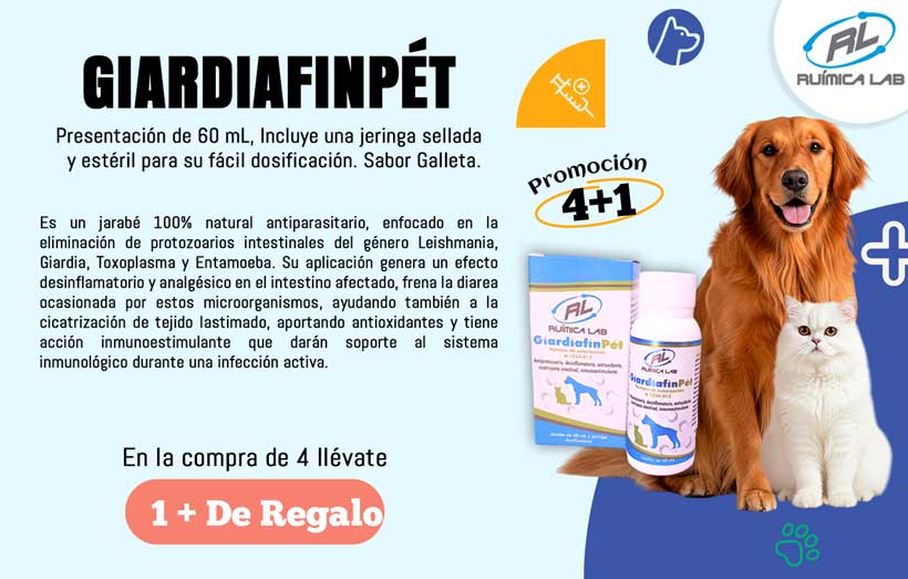 Promociones Agosto 2025