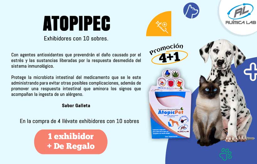 Promociones Agosto 2025