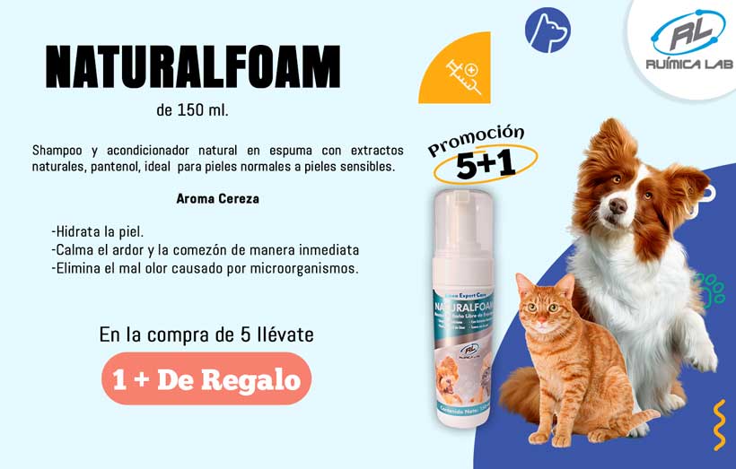 Promociones Agosto 2025