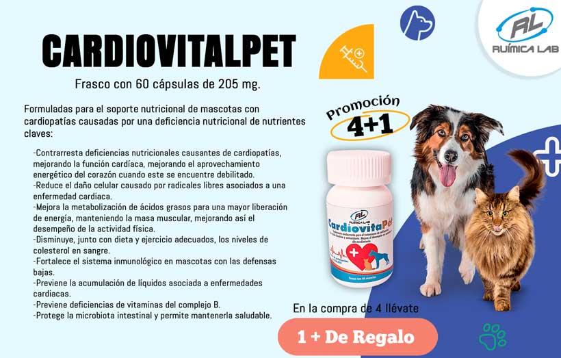 Promociones Agosto 2025