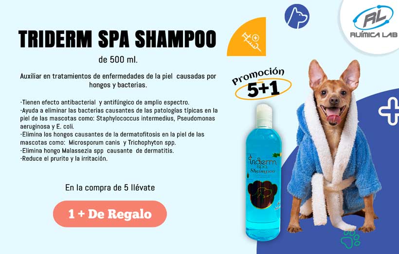 Promociones Agosto 2025