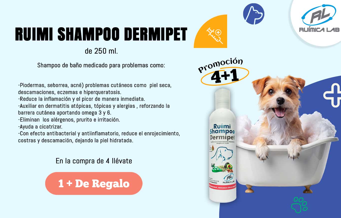 Promociones Agosto 2025