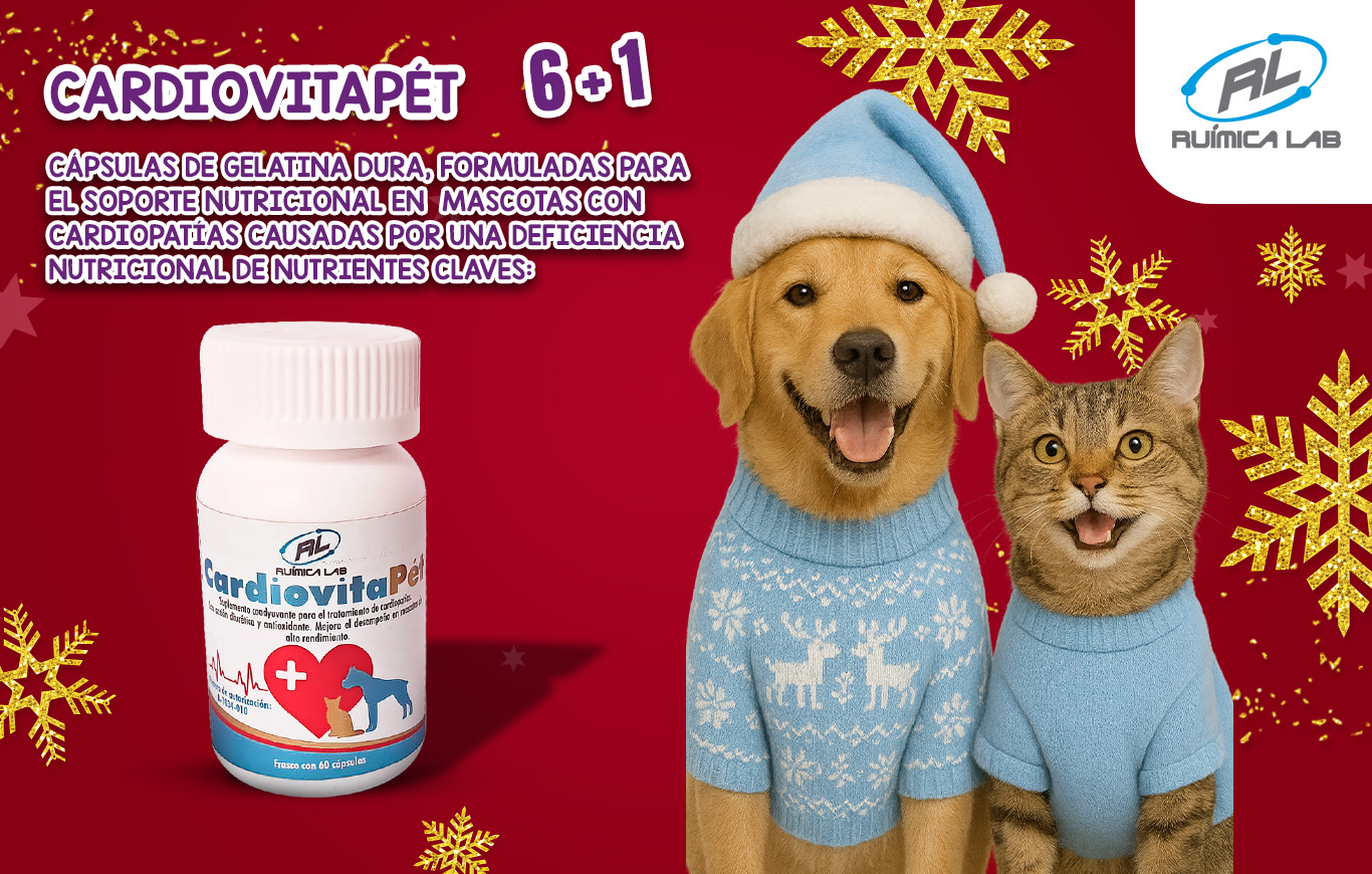 Promociones Diciembre 2025