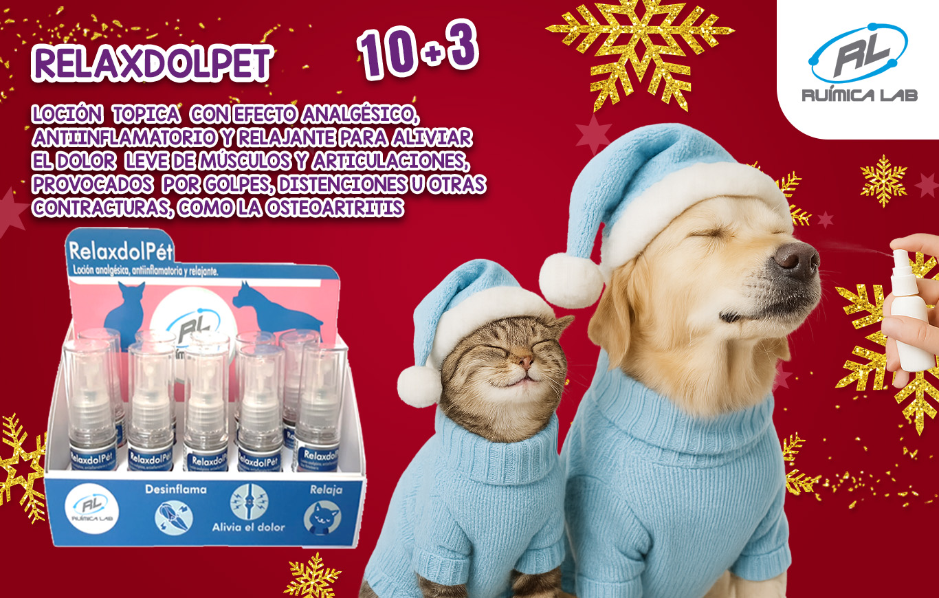 Promociones Diciembre 2025