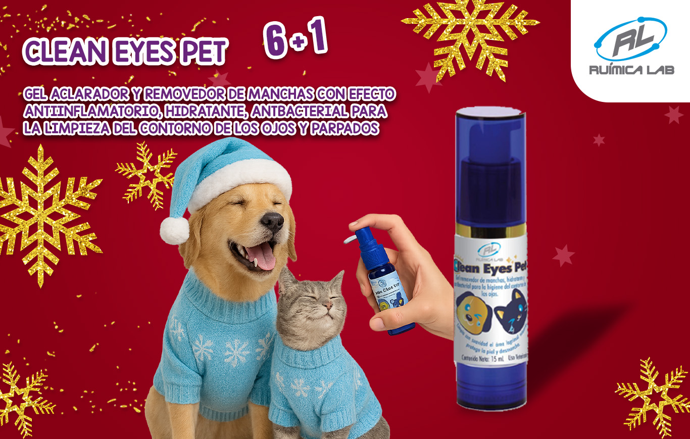 Promociones Diciembre 2025