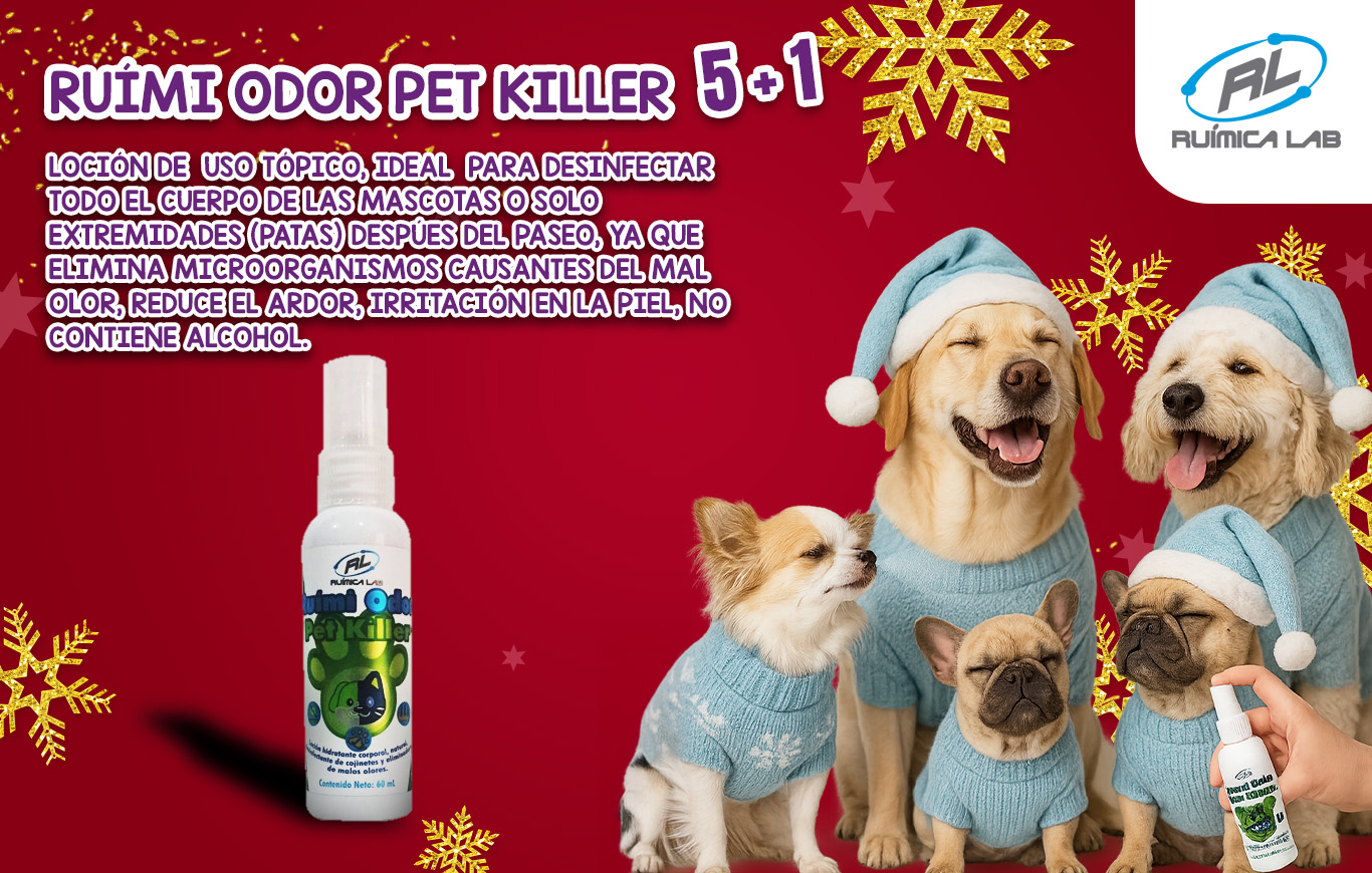 Promociones Diciembre 2025