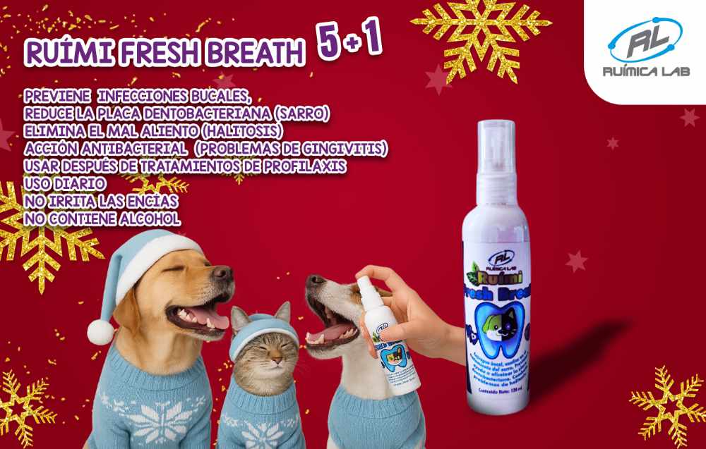 Promociones Diciembre 2025