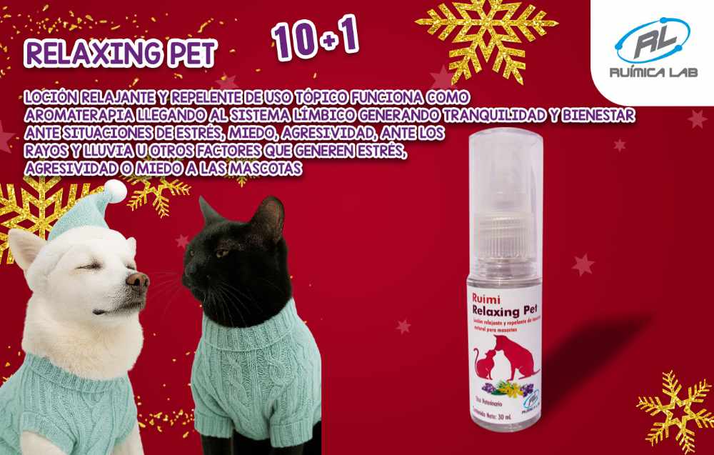 Promociones Diciembre 2025