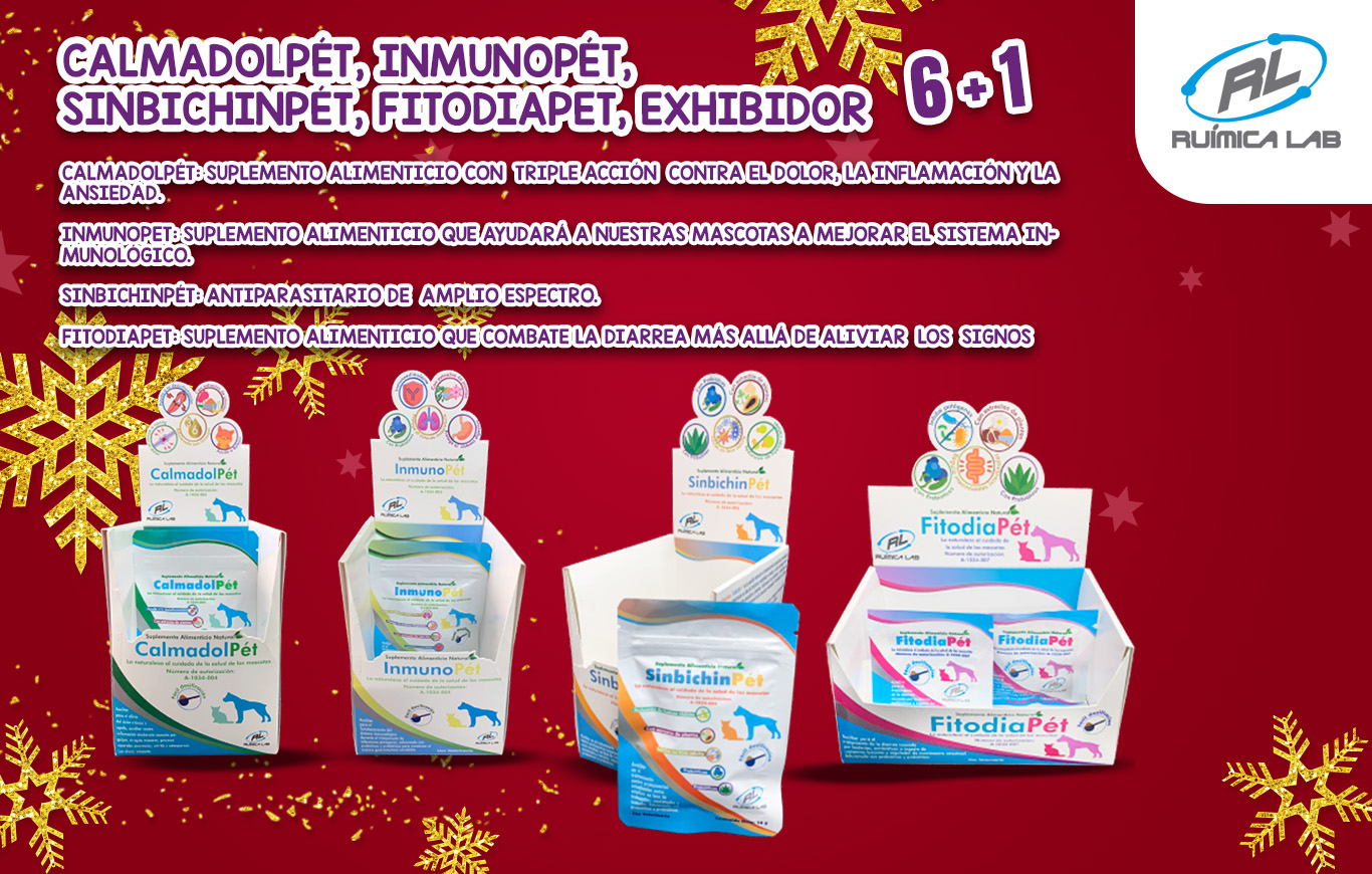 Promociones Diciembre 2025