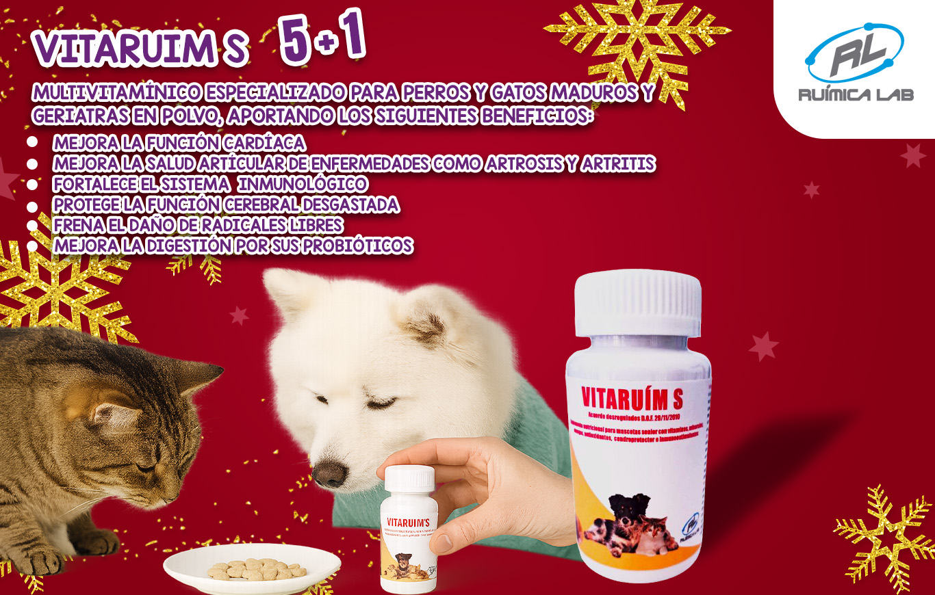 Promociones Diciembre 2025