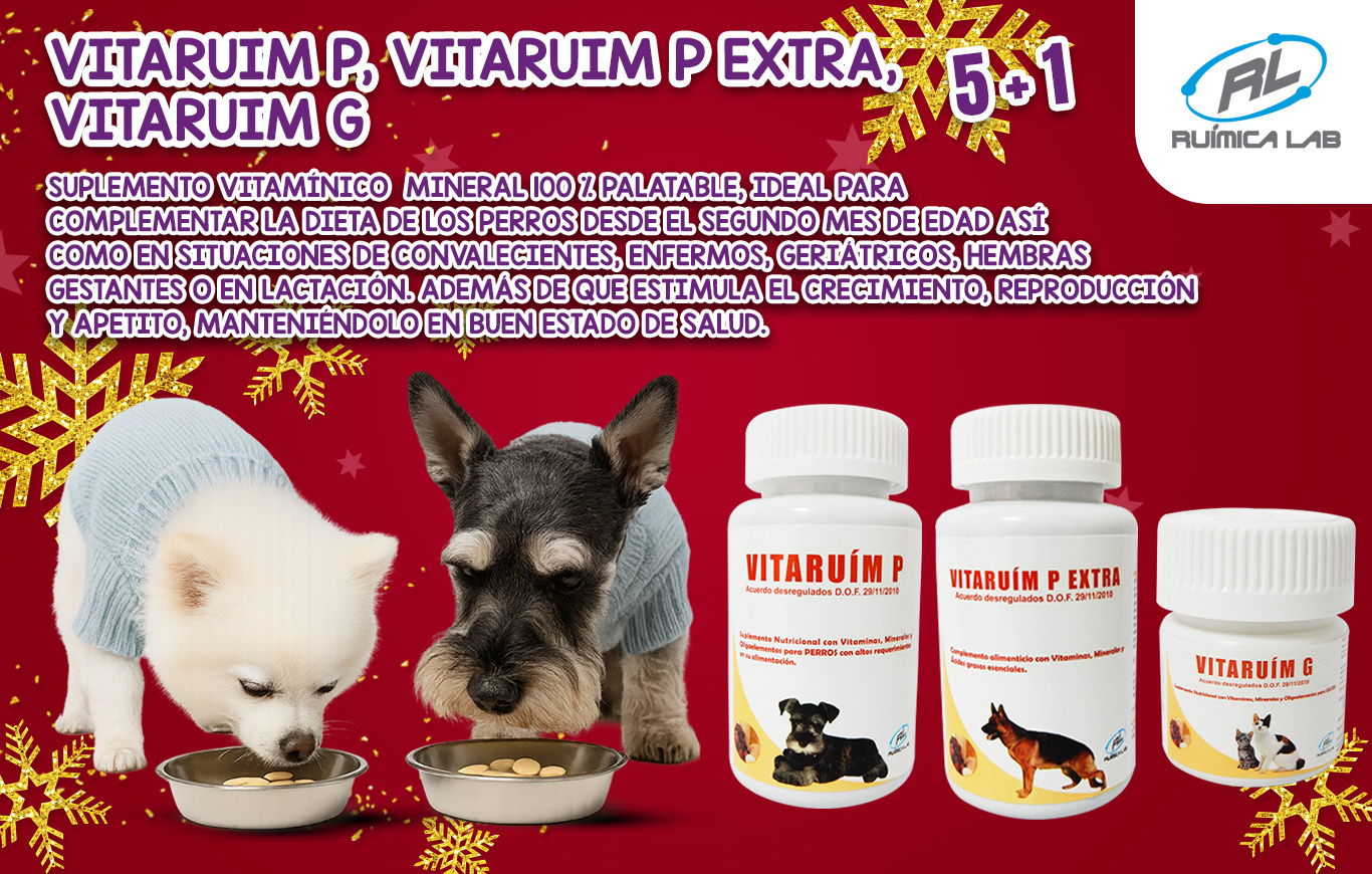 Promociones Diciembre 2025