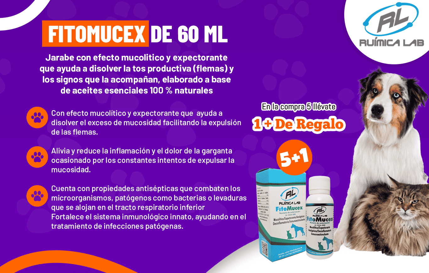 Promociones