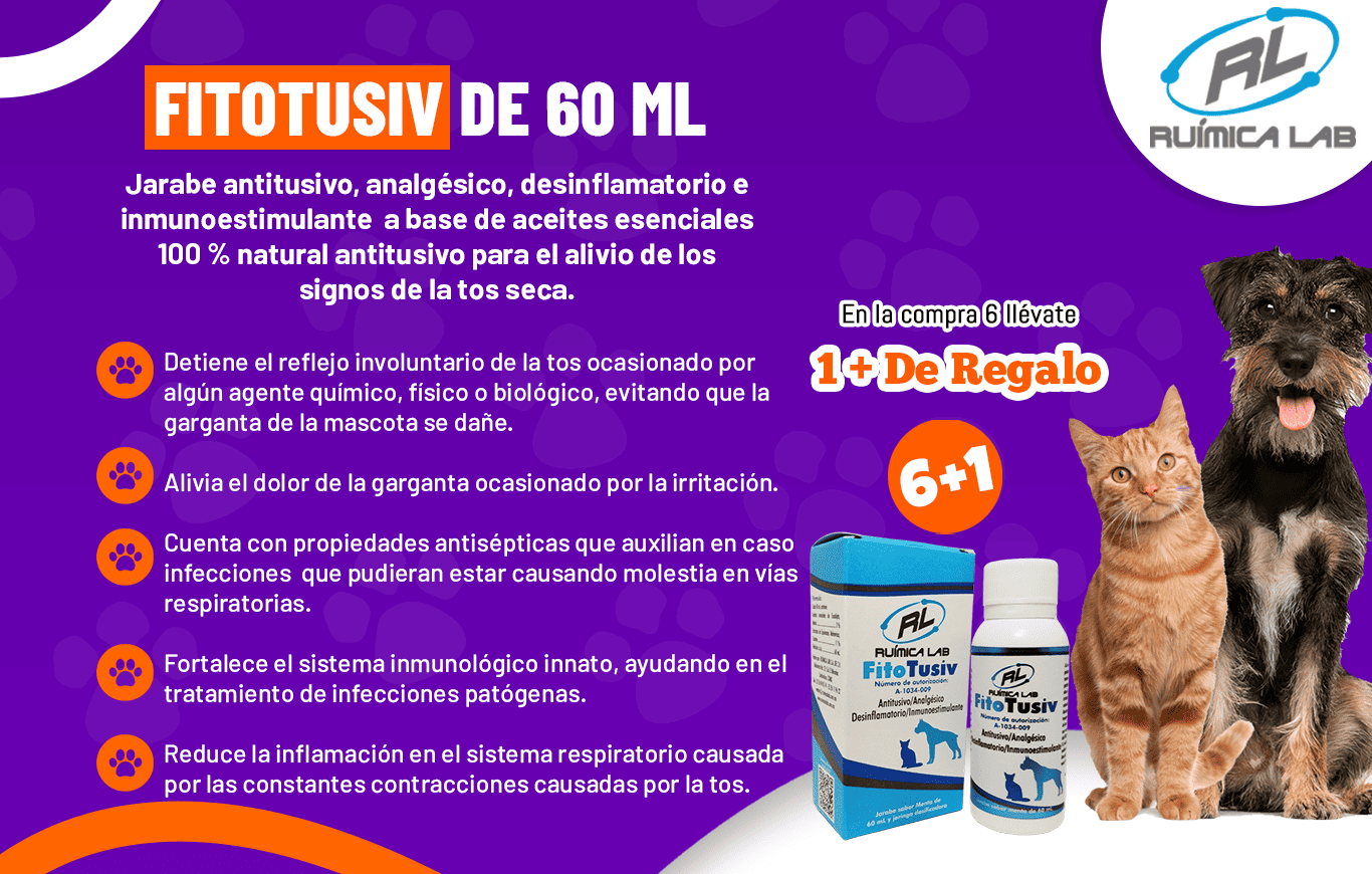 Promociones