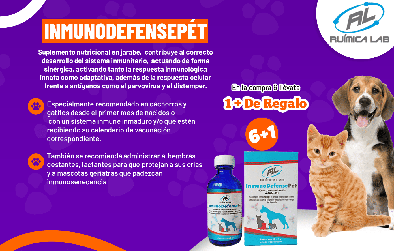 Promociones