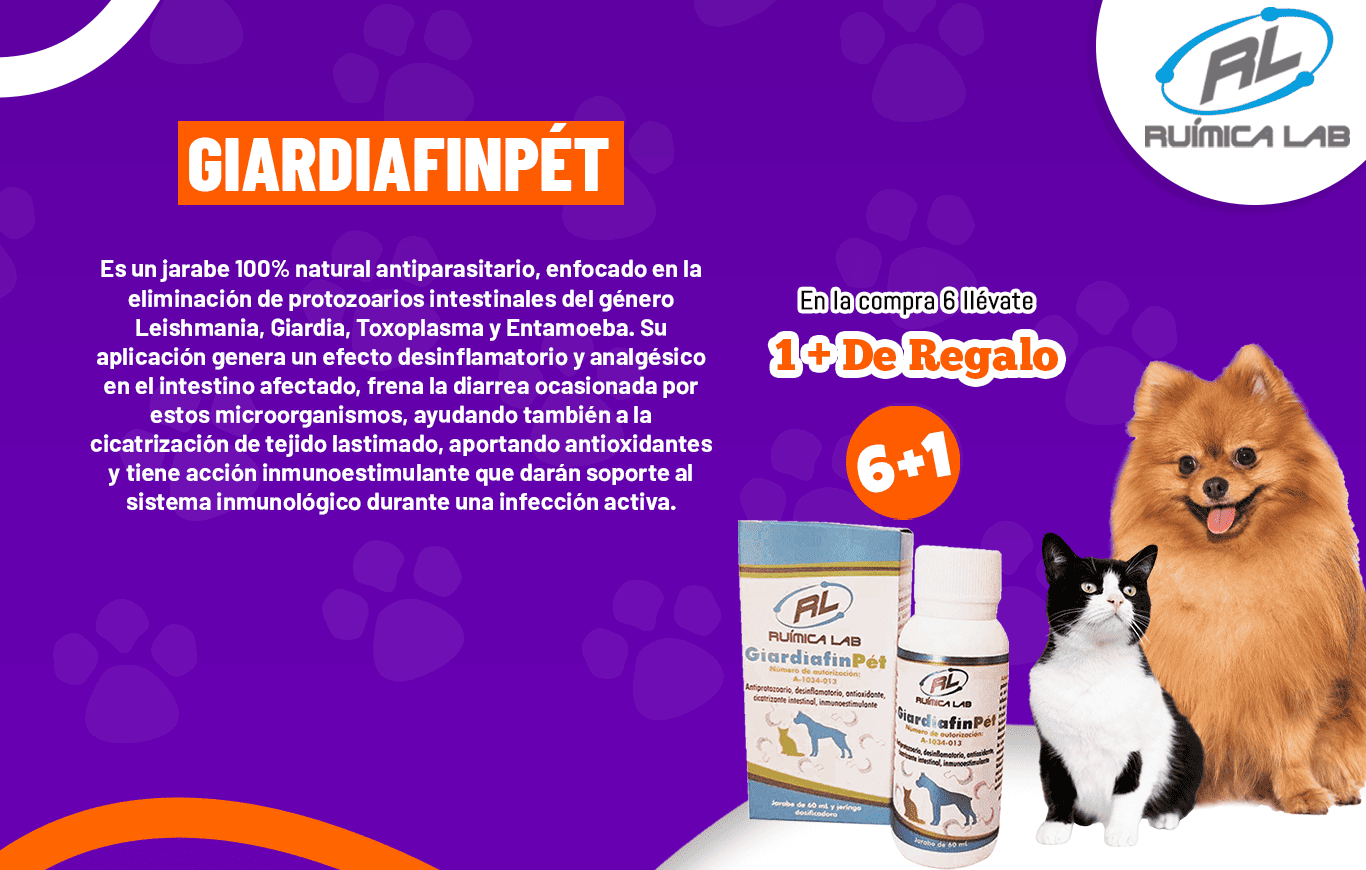 Promociones