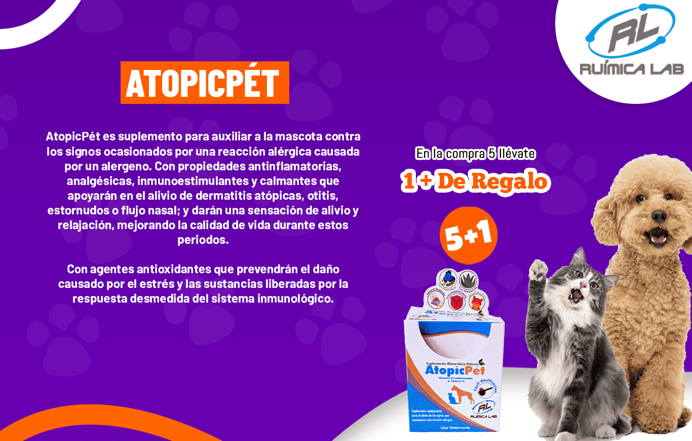 Promociones