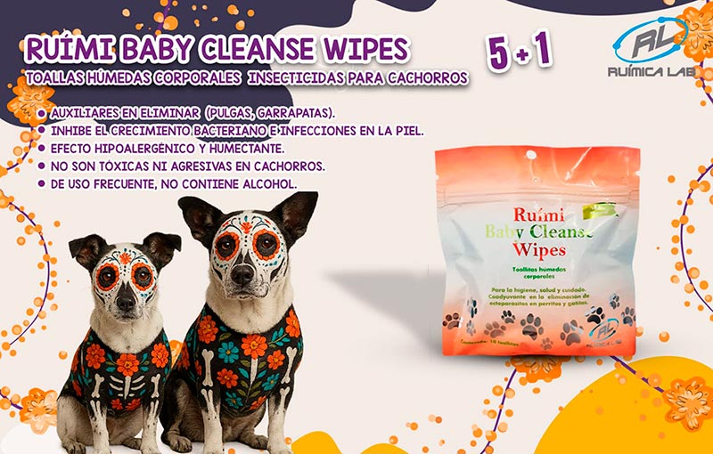 Promociones Noviembre 2025