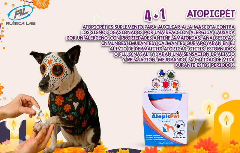 Promociones Noviembre 2025