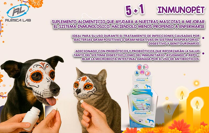 Promociones Noviembre 2025