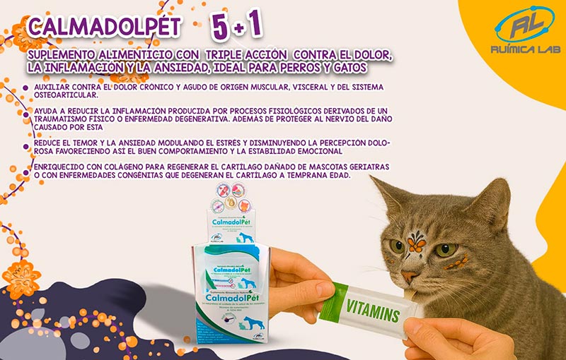 Promociones Noviembre 2025