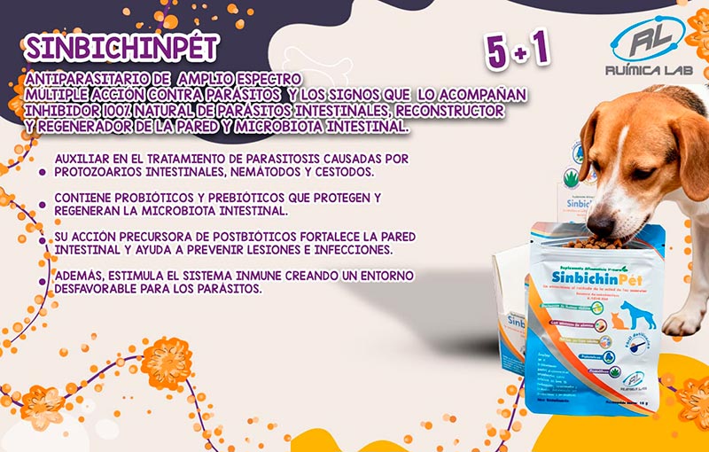 Promociones Noviembre 2025