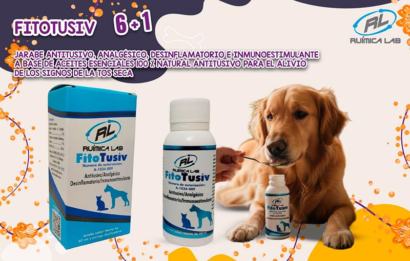 Promociones Noviembre 2025