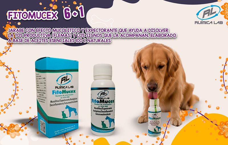 Promociones Noviembre 2025