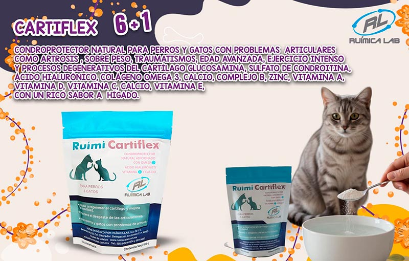 Promociones Noviembre 2025