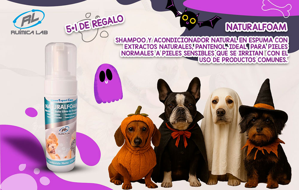 Promociones Octubre 2025