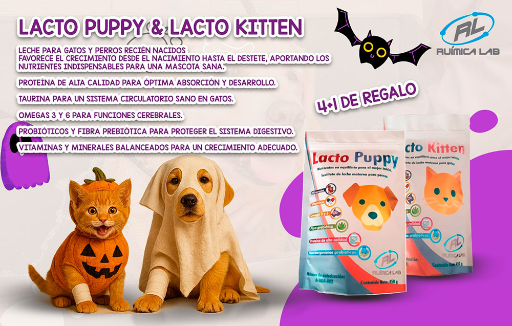 Promociones Octubre 2025