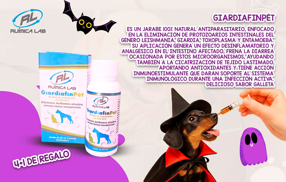 Promociones Octubre 2025