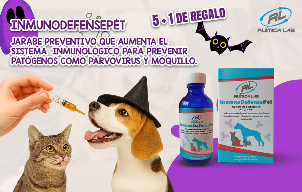 Promociones Octubre 2025