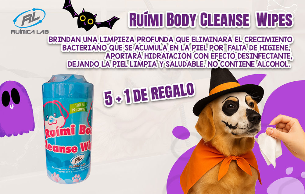 Promociones Octubre 2025