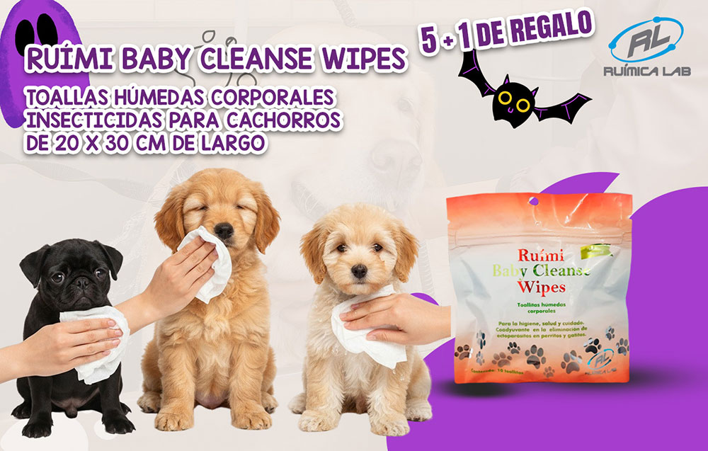 Promociones Octubre 2025
