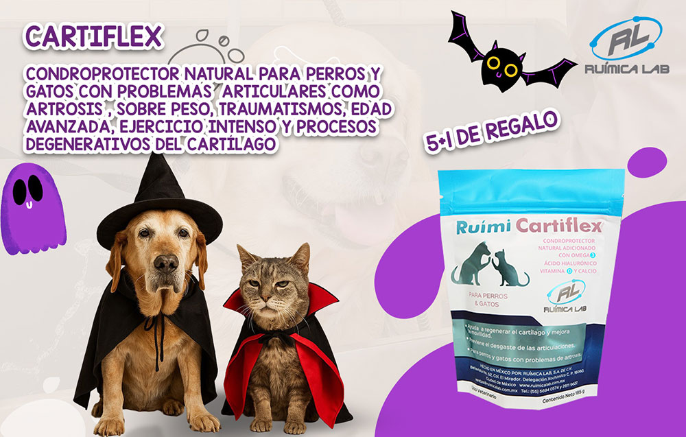 Promociones Octubre 2025