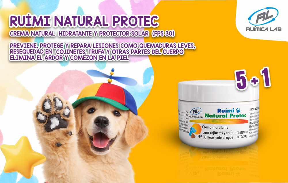 Promociones Marzo 2026