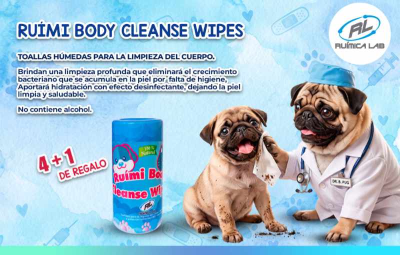 Promociones Agosto 2026