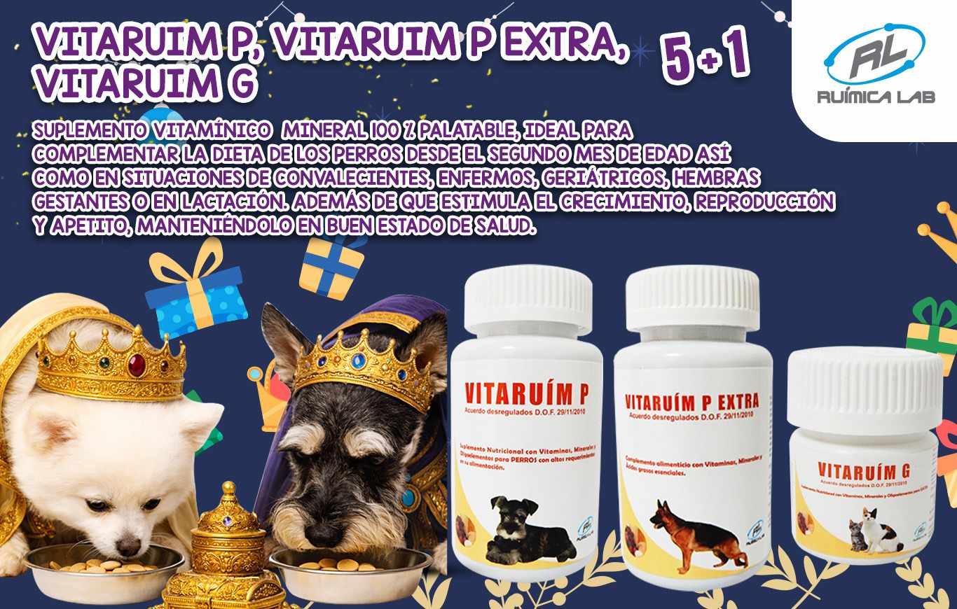 Promociones Enero 2026