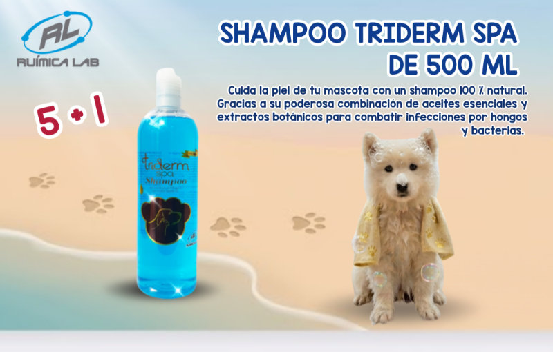 Promociones Julio 2026