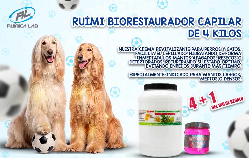 Promociones Junio 2026